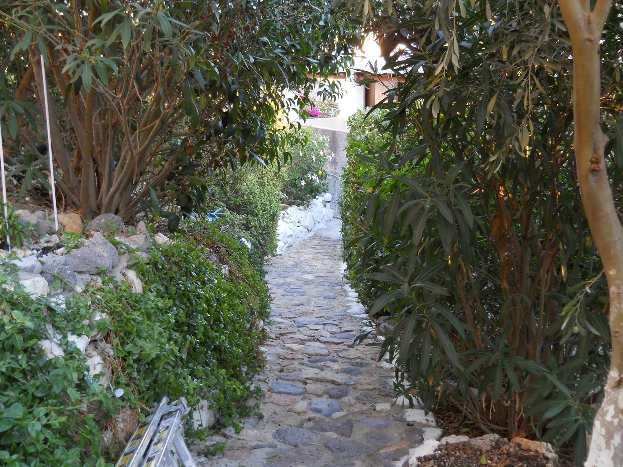 סקאלה Yvonni Studios מראה חיצוני תמונה