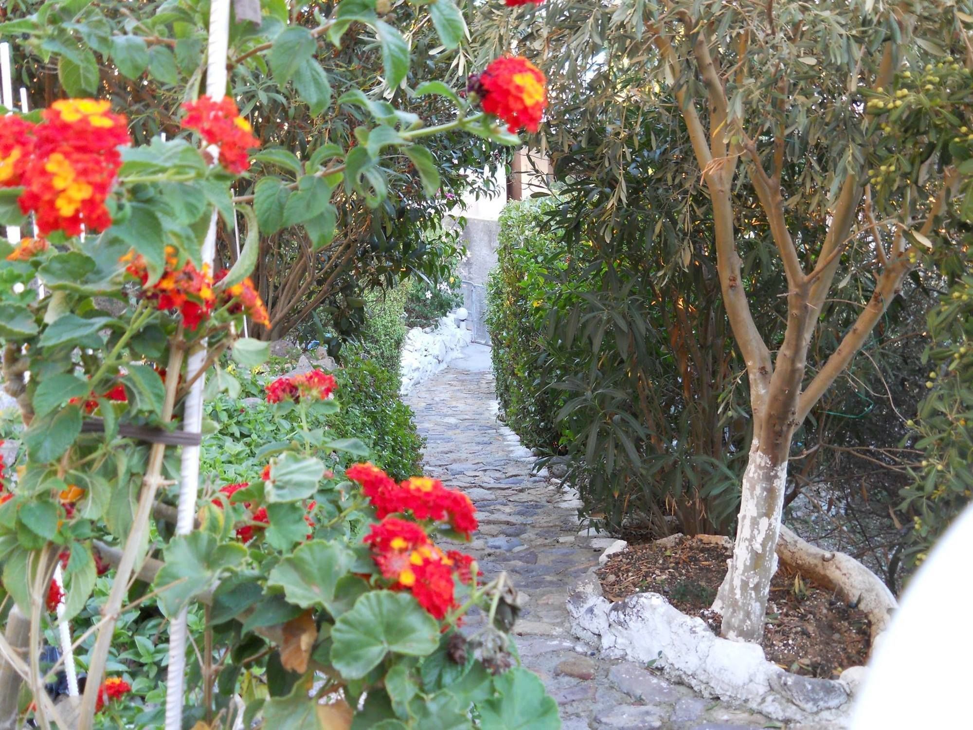 סקאלה Yvonni Studios מראה חיצוני תמונה